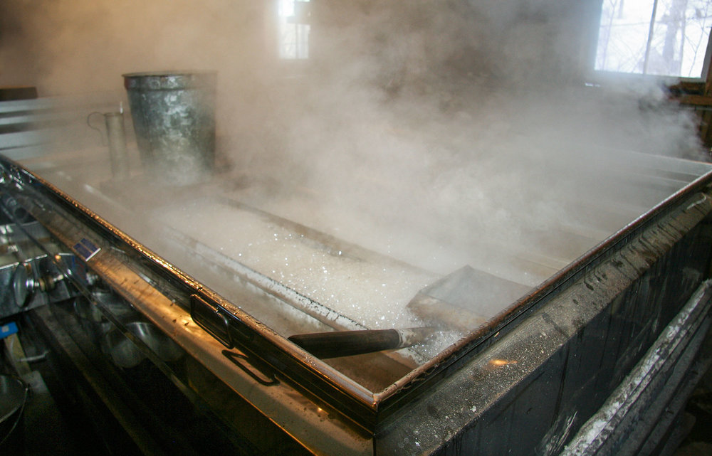 The Sap Boils Down to Syrup in the Back Pan